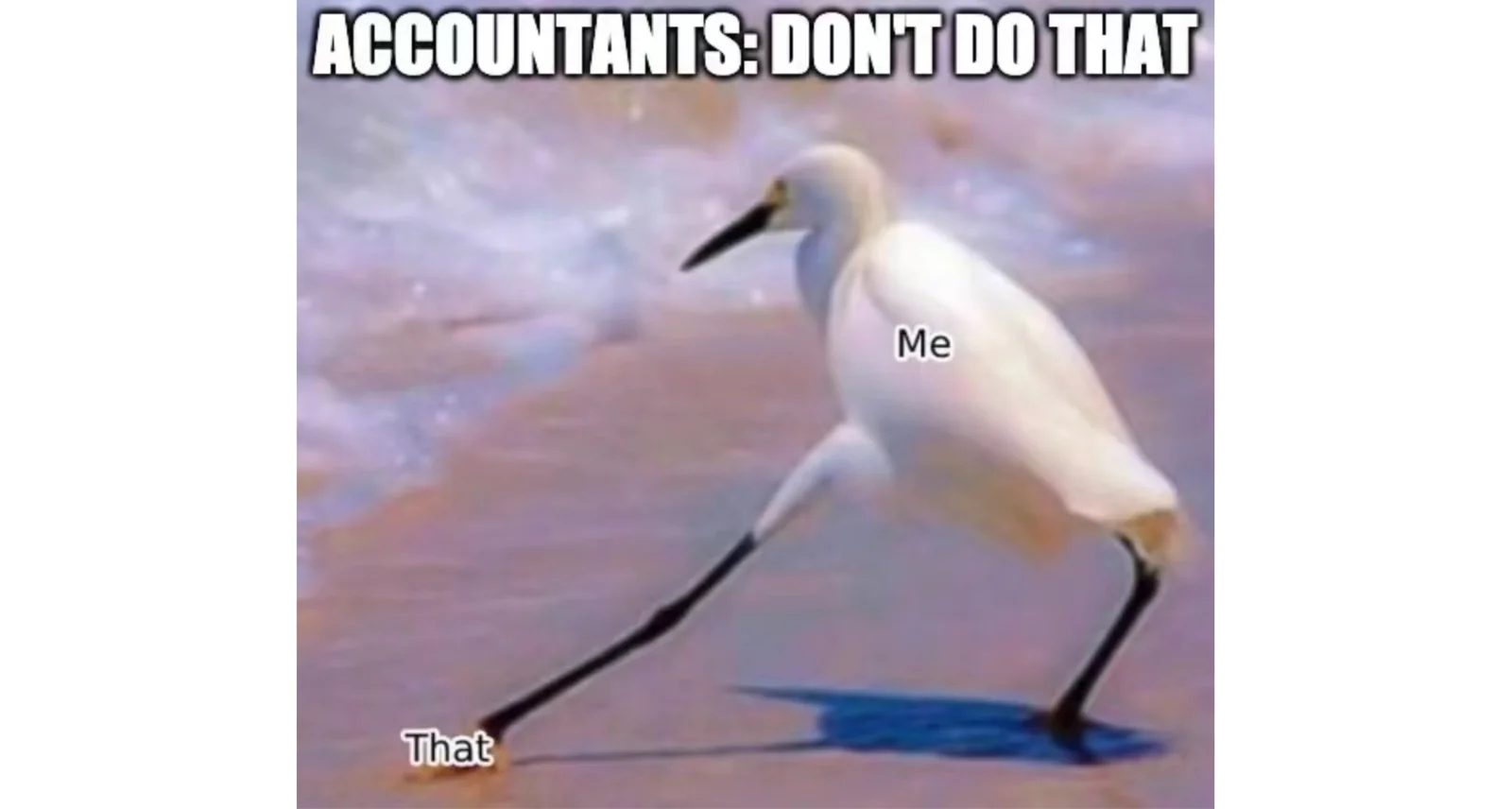 Accounting Advice for Founders