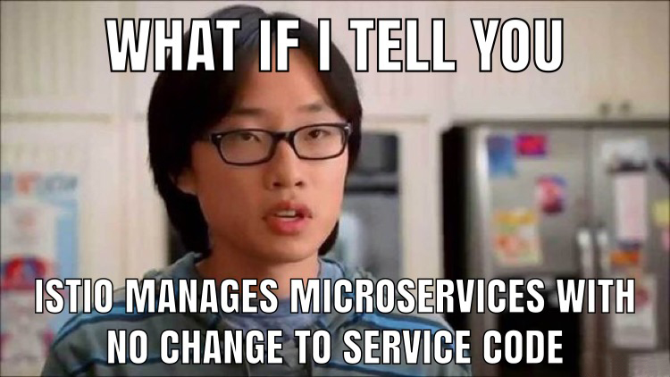 Istio: Noninvasive Governance of Microservices on Hybrid Cloud